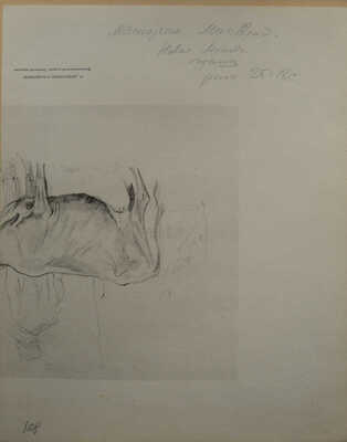 Маторин Михаил Владимирович. Новая Москва. Гостиница «Россия» 